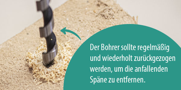 Schlangenbohrer bohrt in holz