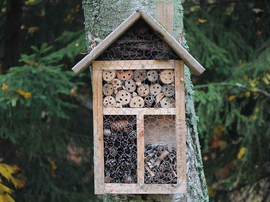 Ein Insektenhotel im Garten aufstellen - Ein Insektenhotel im Garten aufstellen | Primo24