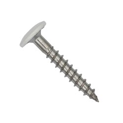 Fassadenschrauben Edelstahl A2 Verkehrsweiß RAL 9016 - 4,8 x 38 mm 100 Stück