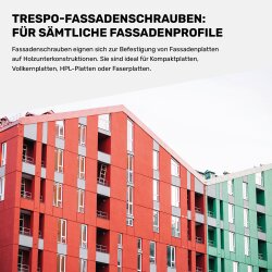 Fassadenschrauben Edelstahl A2 - 4,8 x 60 mm 100 Stück