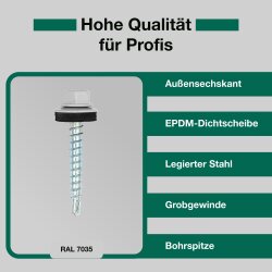 Trapezblechschrauben 4,8 x 20 mm Lichtgrau RAL 7035 - 100 Stück