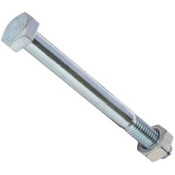 Sechskantschrauben M10 x 100 mm verzinkt - 10 Stück