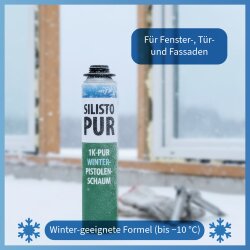 PUR 1K Winter Pistolenschaum B2