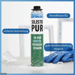 PUR 1K Winter Pistolenschaum B2