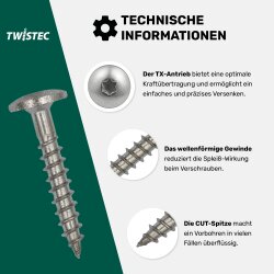 Fassadenschrauben Edelstahl A2 mit Kopflackierung
